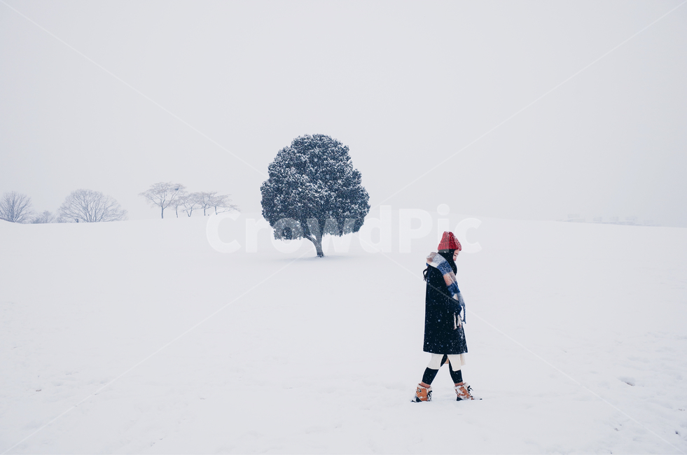 person,사람,human,나무,인간,눈,설경,올림픽공원,나홀로나무,겨울,계절,winter,season,사람,인물,인간,human,person,여성,여자,woman,female,lady