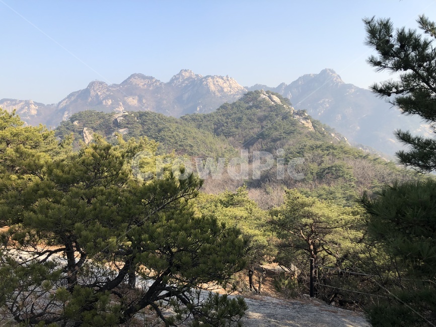 nature,식물,tree,자연,outdoors,나무,옥외,plant,산,mountain,자연,풍경,nature,landscape