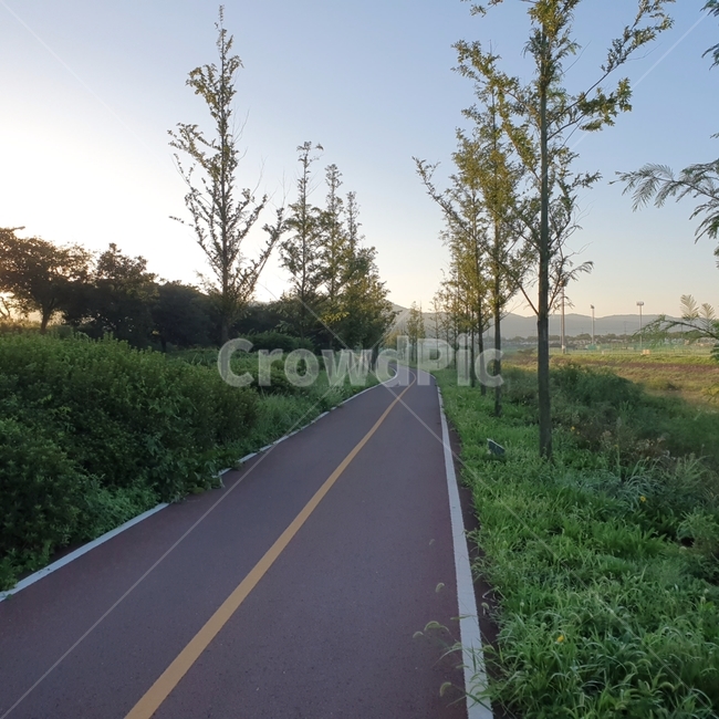 road,길,산책,여유,숲,배경,풍경,나무,자연,풍경,nature,landscape,도로,freeway,고속 도로,highway,고속도로,asphalt,아스팔트