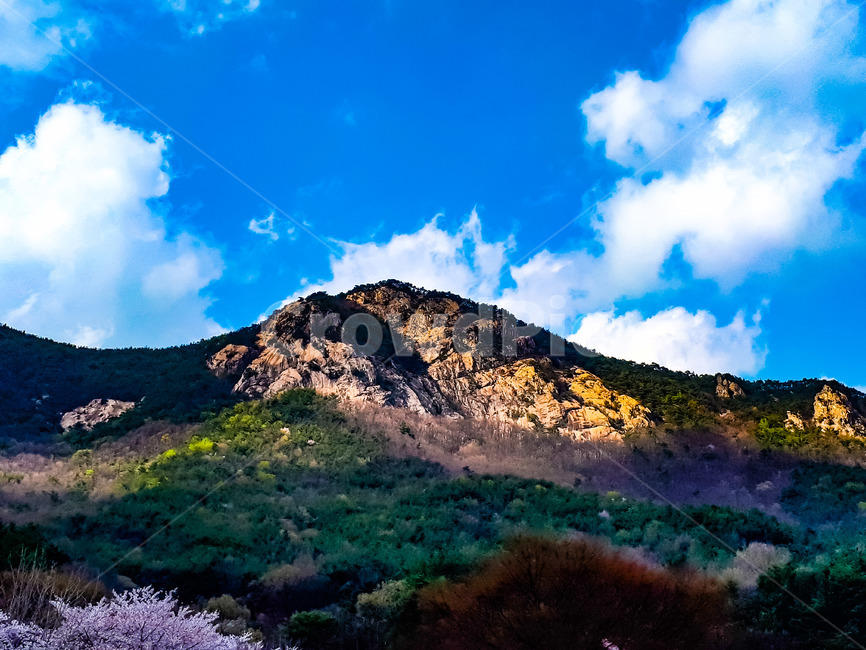 산,푸른하늘,뭉게구름,숲,봄,봄경치,봄풍경,녹음,꽃,산등성이,바위산,벚꽃,하얀꽃,나무,컴퓨터배경사진,배경사진,배경,풍경사진,백그라운드,배경이미지,풍경이미지,엽서사진