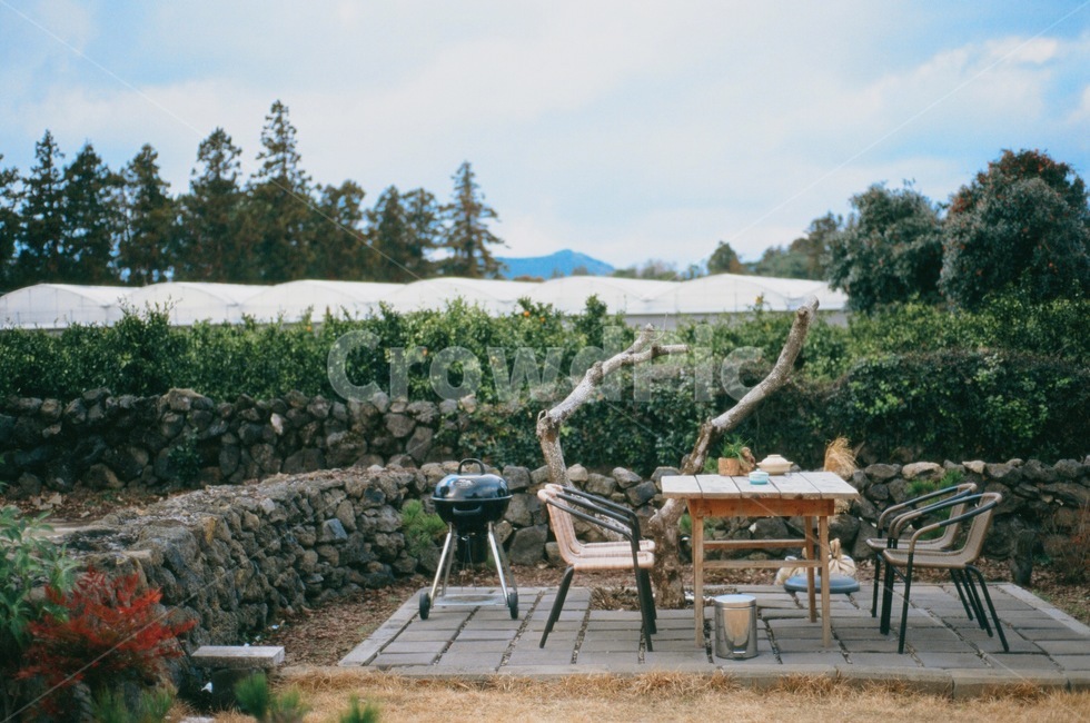 돌담,풍경,야외,나무,제주,제주도,jeju,jeju island,furniture,가구,chair,의자,tabletop,테이블 탑