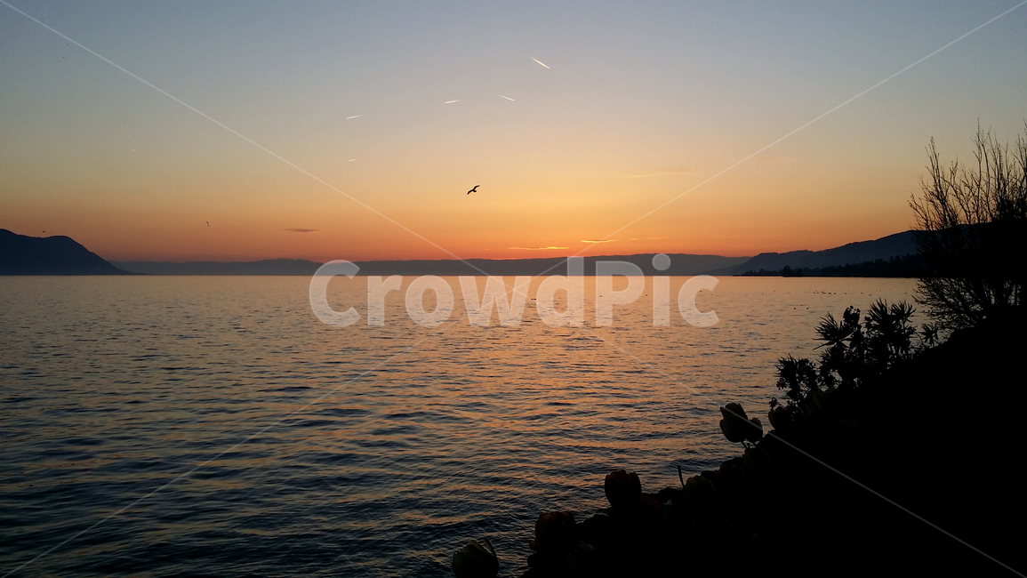 스위스,호수,물결,잔잔한,노을,일몰,sunset,switzerland,lake