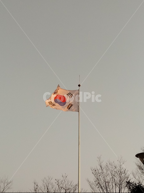태극기,삼일절,국기,광복절,깃발,대한민국