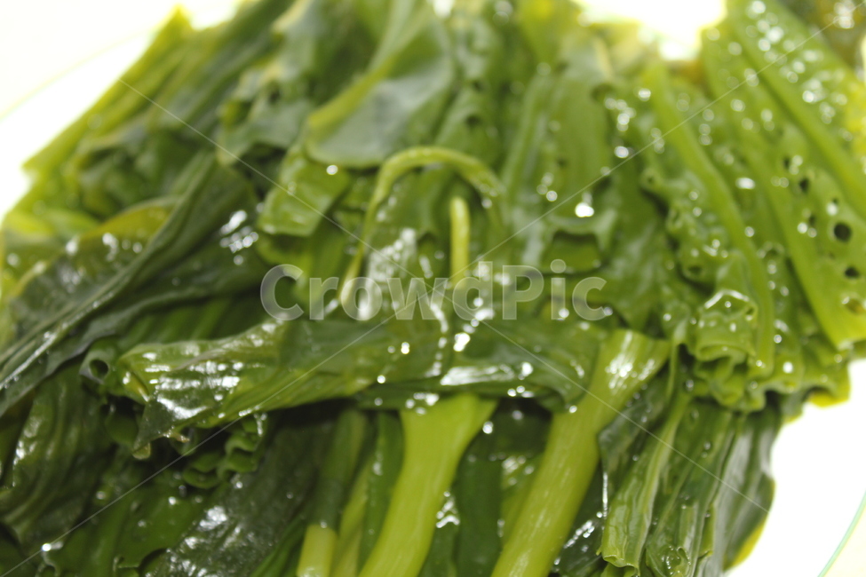 곰피,해초,미역,음식,요리,바다,바다식물,레시피,삶기,음식,식재료,요리,food,cook,meal,dishes,food reserves