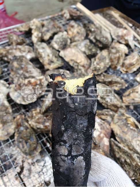 고구마,고구마구이,food,굴,구이,숯불,숯불구이,캠핑,요리,굴구이,조개구이,oyster,해산물,음식,숯,탄고구마