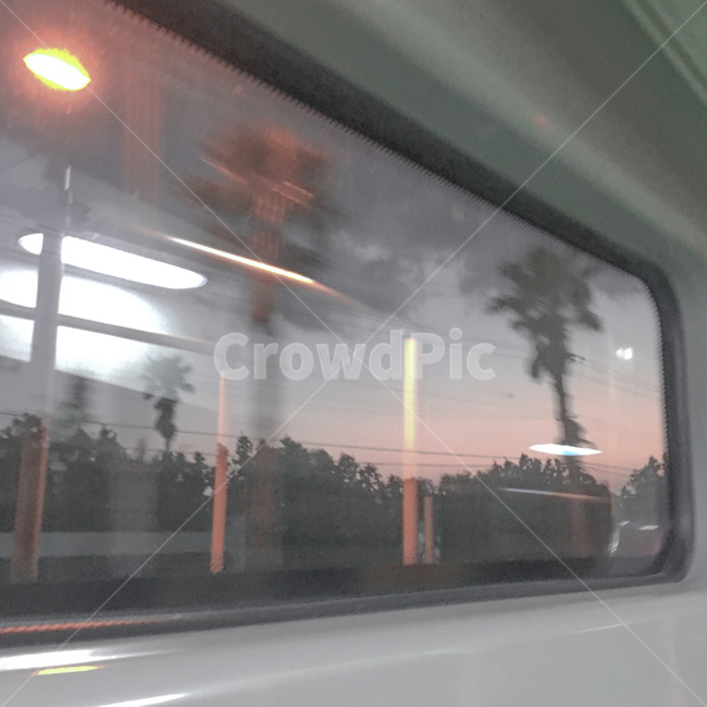 프레임,창문,야자수,가로등,버스,교통,교통수단,traffic,transportation