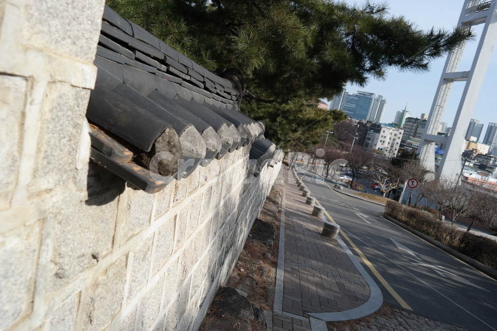벽,한국벽,돌벽,나무,기와,아웃포커싱,나뭇잎,소나무,떨어진잎,길,도로,한국전통,한국문화,korean traditional,korean culture,건축물,건물외관,exterior,building,structure,architecture,construction