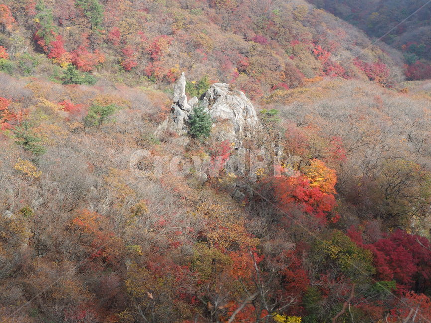 자연,가을,단풍,산행,힐링