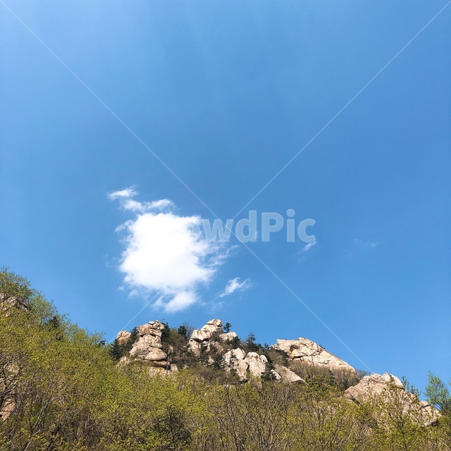 하늘,구름,노을,나무,풍경,산,평안