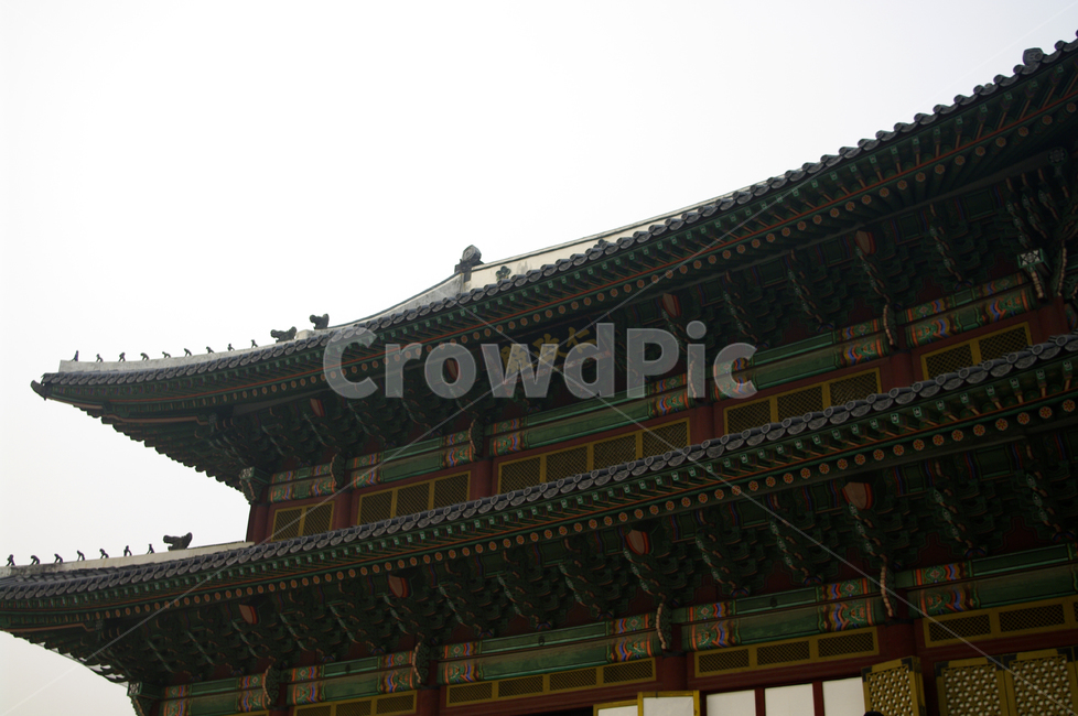 인정전,창덕궁,고궁,낙선재,건축,전통건축,traditional,전통,기와지붕,한국전통,한국문화,korean traditional,korean culture,랜드마크,landmark,tourist attraction,한국랜드마크,한국관광지,한국명소,korea landmark,korea tourist attraction,건축물,건물외관,exterior,building,structure,architecture,construction