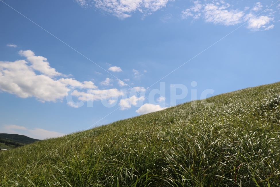 제주도,자연,산,오름,새별오름,햇빛,하늘,구름,자연,풍경,nature,landscape