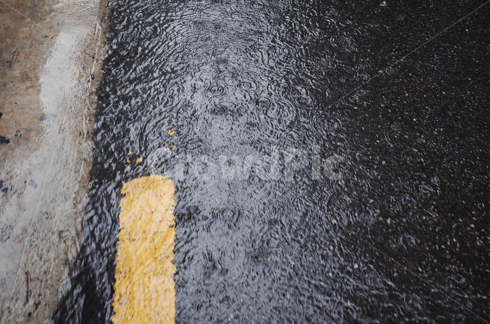 asphalt,아스팔트,비,rain,raindrop,도로,차도,빗물