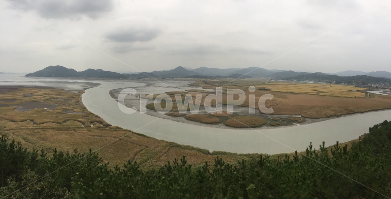 순천만,습지,강,바다,갈대밭,갈대,자연,풍경,nature,landscape,한국자연풍경,한국자연경관,korea nature landscape,outdoors,옥외,경치,scenery,land,땅,aerial view,조감도