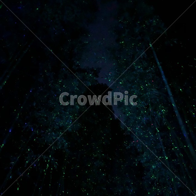 하늘,야경,별,은하수,밤하늘,밤,sky,star,night,milkyway,galawy,nightview,야경,밤,풍경,nightscape,night,landscape,nature,자연