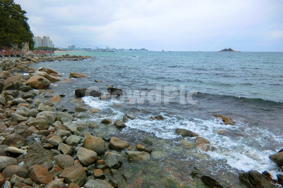 외옹치항,바다,속초,바위,갯바위