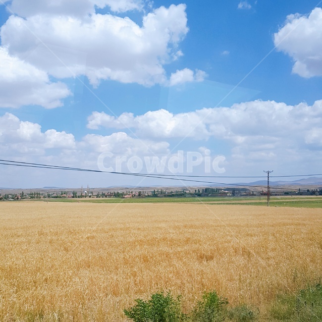 하늘,sky,field,들,nature,자연