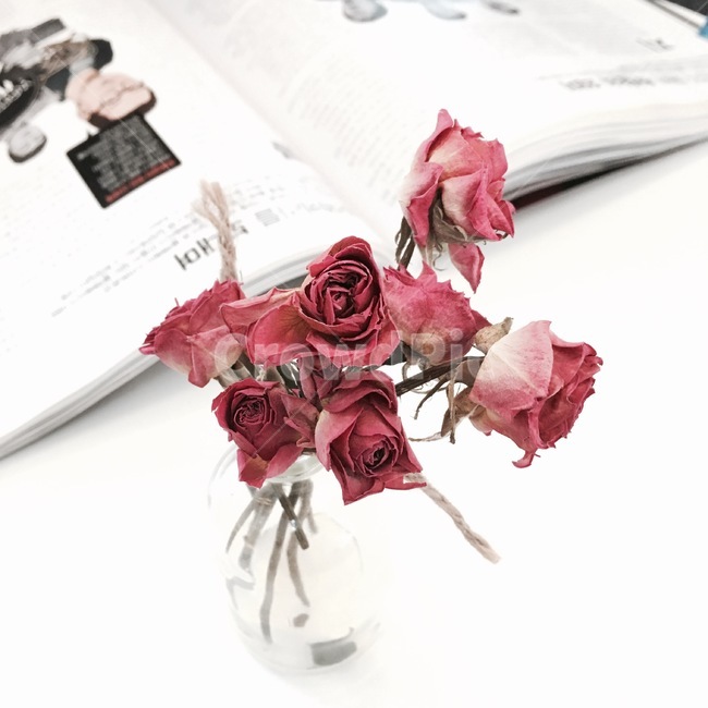 flower,꽃,blossom,식물,plant,장미,드라이플라워,잡지,인테리어