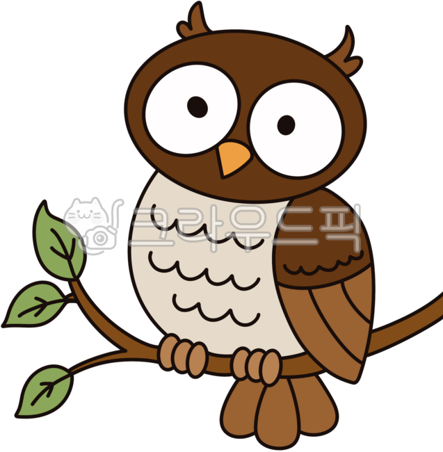 부엉이,아기새,귀여운부엉이,귀여운동물,야생동물,밤새,숲속동물,밤의새,동화캐릭터,귀여운새,자연학습,동물관찰,생태교육,스토리북,그림책,동물친구,숲이야기,자연탐구,관찰놀이,환경교육,생물,동물카드,동화,카툰,야생부엉이,놀이학습,동화삽화,나무,나뭇가지,나뭇잎,잎사귀