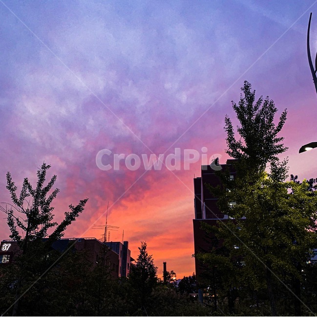 노을,하늘,아름다운,해질녘,가을,autumn,sky,sunset,자연,nature