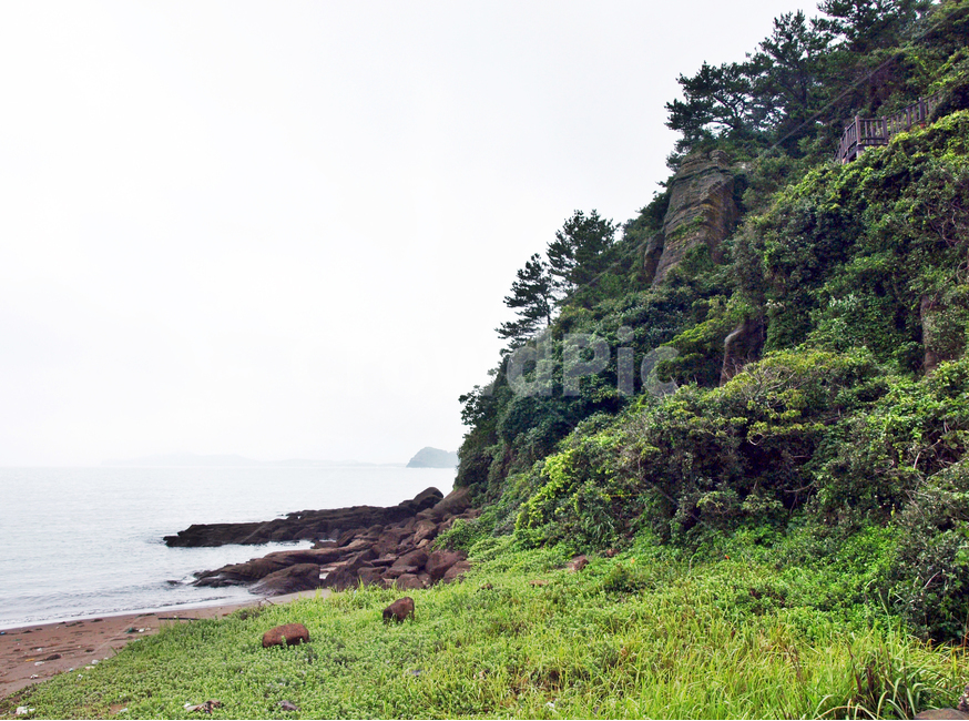 화순해변,올레10코스,올레,서귀포시,제주,기암괴석,바다,자연,풍경,nature,landscape,제주도,jeju,jeju island,outdoors,옥외,slope,경사