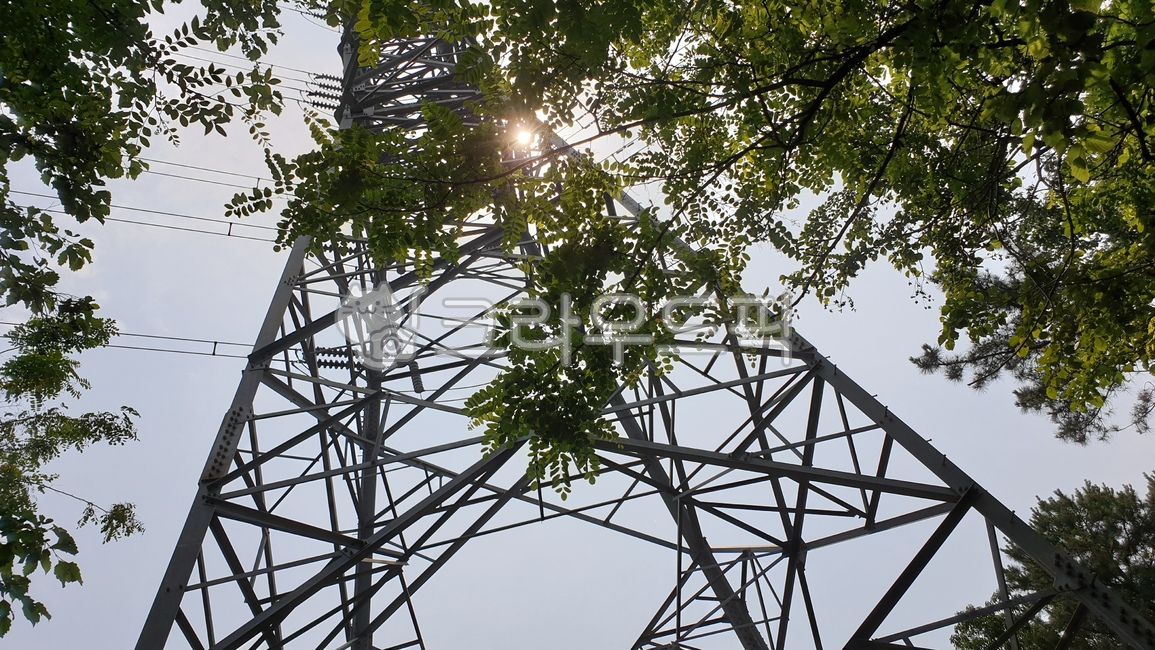 송전탑,숲속송전탑,산송전탑,숲,전기탑