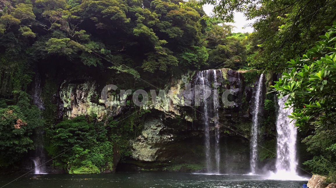 천지연폭포,제주도,관광지,자연,폭포,풍경,jeju,자연,풍경,nature,landscape,한국자연풍경,한국자연경관,korea nature landscape,water,물,river,강,outdoors,옥외,waterfall