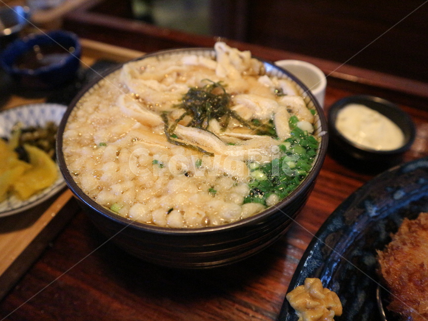 우동,국물,면요리,food,음식,bowl,사발,음식,식재료,요리,food,cook,meal,dishes,food reserves