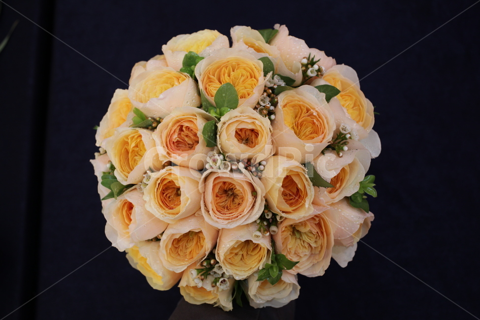 부케,웨딩,bouquet,꽃다발,flowers,장미,blossom,wedding,weddingceremony,marriage,꽃,꽃,flower,기념일,축하,anniversary,congratulation,celebrate,celebration