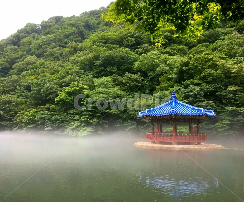 산,팔각정,호수,물안개,자연,풍경,자연,풍경,nature,landscape,한국전통,한국문화,korean traditional,korean culture,건축물,건물외관,exterior,building,structure,architecture,construction,weather,날씨,outdoors,옥외