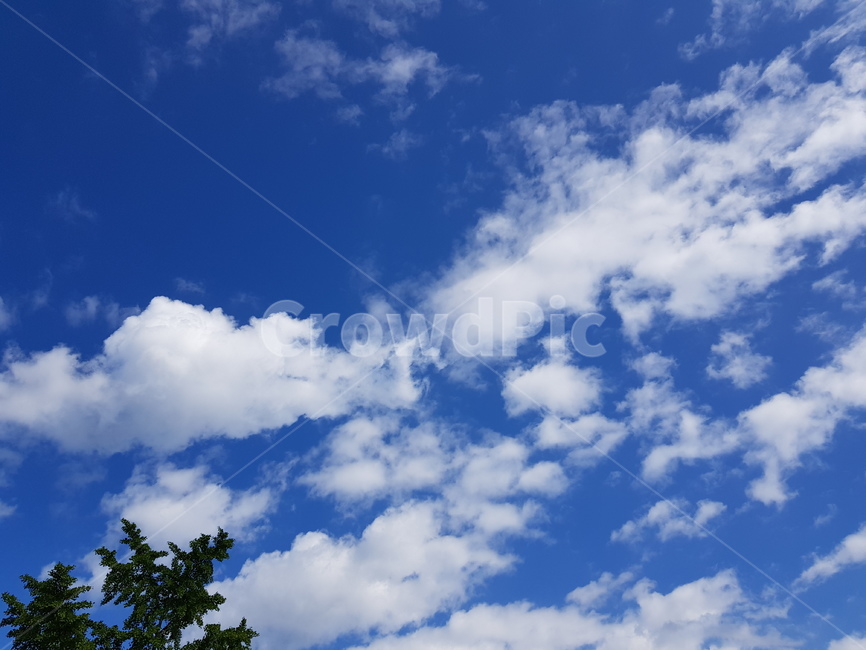구름,하늘,파란하늘,뭉게구름,특이한구름,푸른하늘,파란,special,cloud,sky