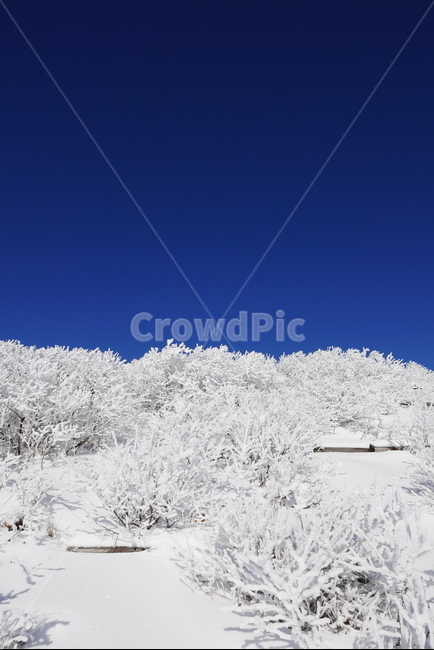 설악산,설산,눈내린산,대청봉,눈설악,겨울산,겨울,눈,설경,겨울,계절,winter,season