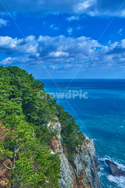 부산,바다,풍경,파도,하늘,여름,태종대,자연,풍경,nature,landscape,한국자연풍경,한국자연경관,korea nature landscape,promontory,곶,outdoors,옥외,land,땅,plant,식물,vegetation,초목