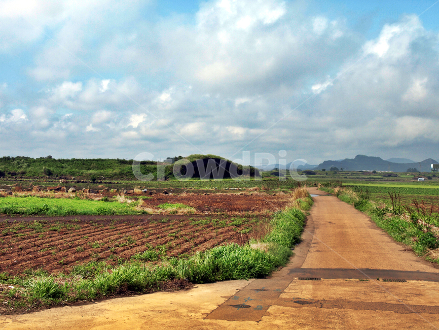 올레10코스,올레,서귀포시,제주,올레길,구름,자연,풍경,nature,landscape,제주도,jeju,jeju island,산업,industry,industrial,농업,농사,agriculture,farming,farming industry,outdoors,옥외
