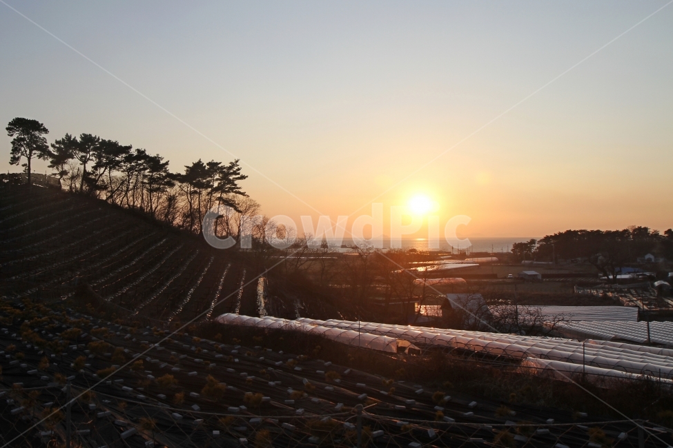 시골풍경,저녁노을,해넘이,일몰,자연,감성,자연,풍경,nature,landscape,한국자연풍경,한국자연경관,korea nature landscape,시골,마을,country,rural,town,outdoors,옥외,sky,하늘