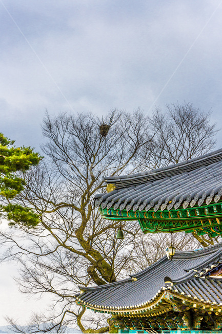 기와,선,단청,처마,사찰,전통,한국전통,한국문화,korean traditional,korean culture,건축물,건물외관,exterior,building,structure,architecture,construction