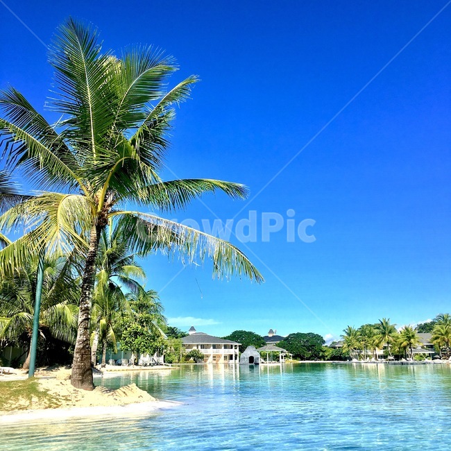해변,beach,하늘,sky,sea,맑음,clear,풍경,자연,nature,나무,tree,야자수,자연,풍경,nature,landscape,해외,외국,세계,foreign,oversea,world,세계자연풍경,해외자연풍경,외국자연풍경,world nature landscape,여행,휴가,traveling,vacation,trip,summer,여름
