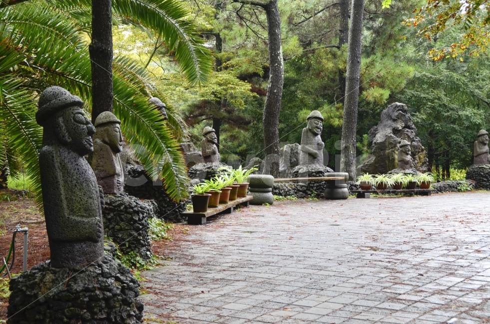 돌하루방,모임,야자수,제주도,토론,조각상,동상,석상,조형물,statue,bronze statue,stone statue,한국전통,한국문화,korean traditional,korean culture,종교,신앙,religion,belief,faith