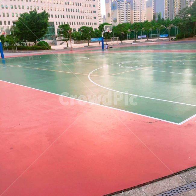 people,사람들,person,사람,human,인간,농구장,코트,스포츠,레저,court