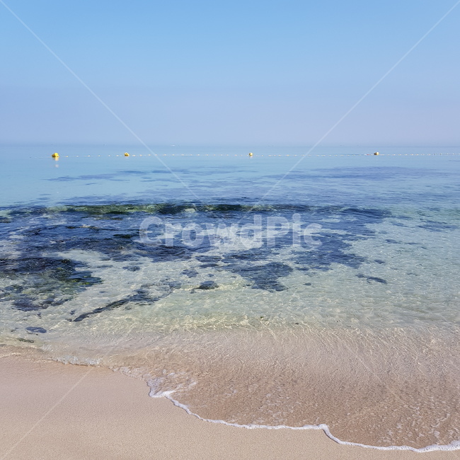 바다,제주도바다,깨끗한바다,물,파도,제주바다,자연,자연,풍경,nature,landscape