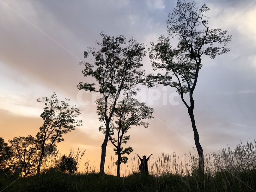순천만국가정원,순천만,노을,sunset,가을,autumn,suncheon,자연,풍경,nature,landscape