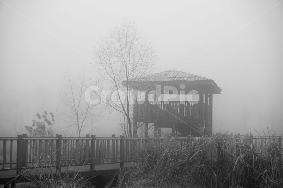 안개,공원,풍경,시설물,정자,겨울,계절,감성,자연,풍경,nature,landscape,흑백,모노톤,monochrome,black and white,weather,날씨,fog