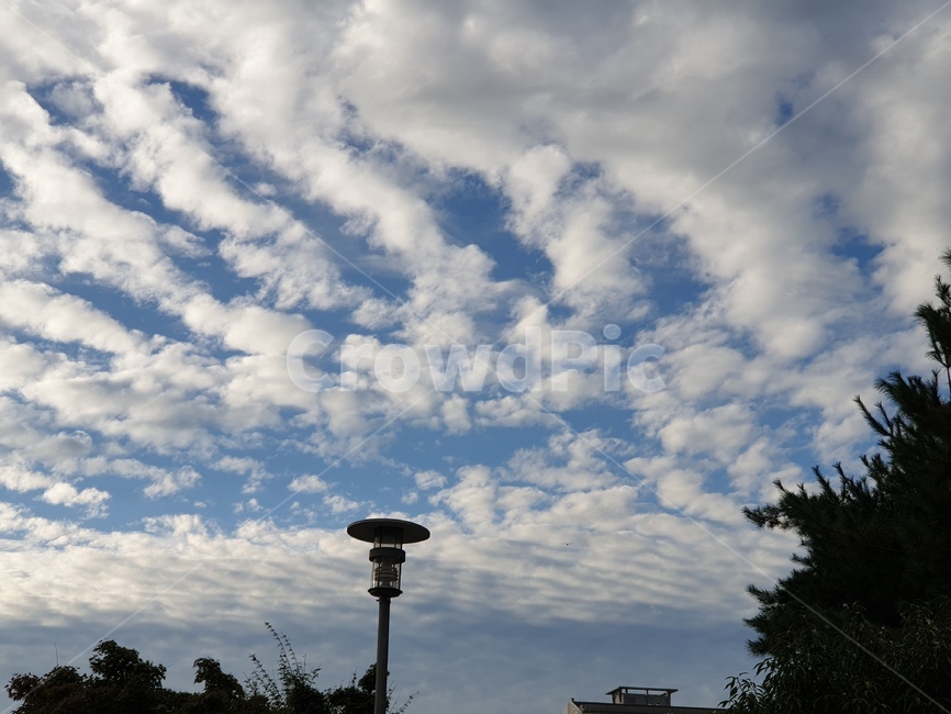 outdoors,nature,autumn,sky,cloud,가을,하늘,구름,뭉개구름,파란하늘,가을저녁,예쁜하늘