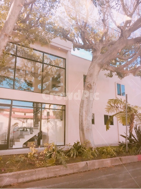 plant,식물,tree,나무,건물,buliding,창문,window,landscape,scenery,scene,view,풍경