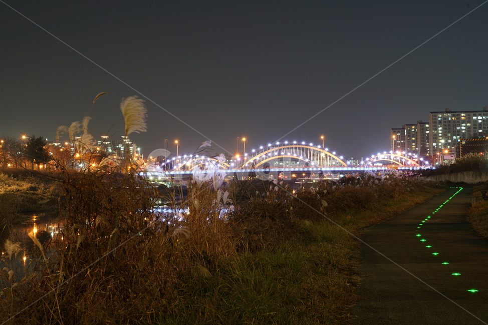 전주시,삼천천,삼천천야경,천변야경,도시천야경,산책로,building,건물,city,시티,urban,어반,town,도시,highrise,고층건물,야경,밤,풍경,nightscape,night,landscape