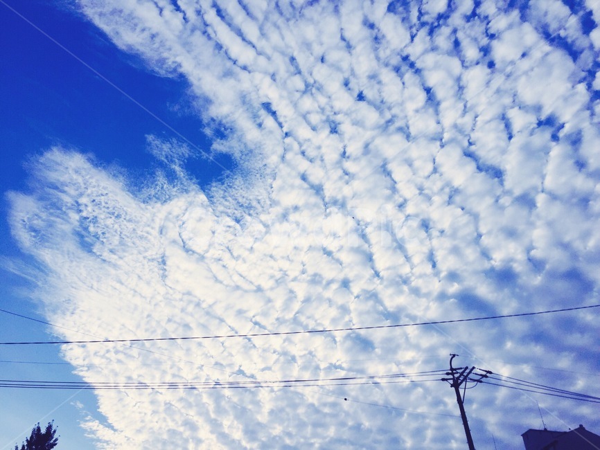 하늘,자연,구름,파랑,전신주,전봇대,nature,sky,cloud,telephonepole