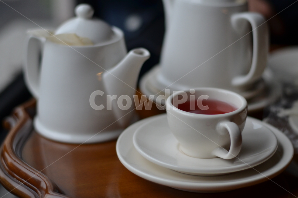 차,후식,커피,카페,제주,음료수,drink,beverage