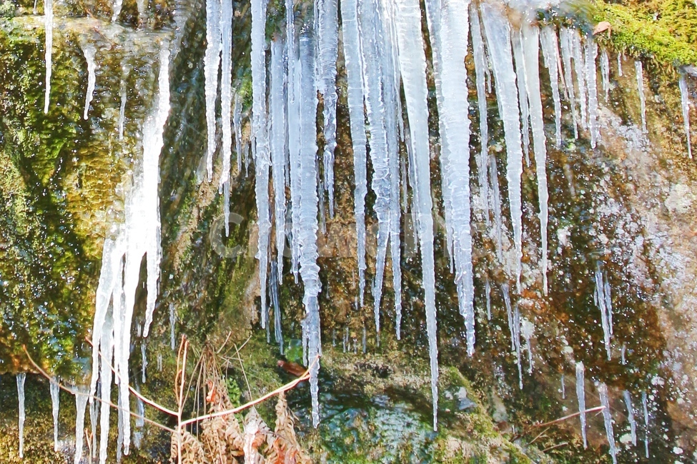 자연,빙,고드름,얼음,겨울,겨울,계절,winter,season