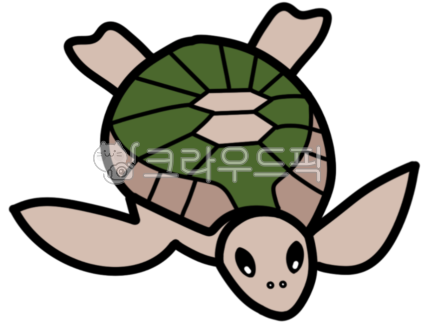 turtle,Zara Illustration,tight,turtle illustration,marine life
