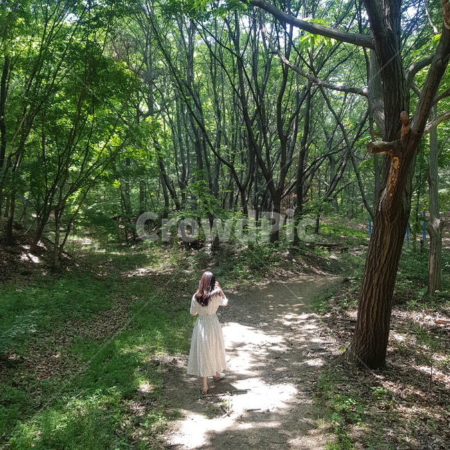 산,숲,뒷모습,풍경,자연,나무,산림욕,사람,인물,인간,human,person,여성,여자,woman,female,lady