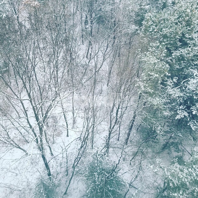설산,눈꽃,겨울,눈,산